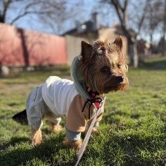 ����: ������� ������  �������� ������ ������ � �. �����