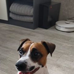 ����: ������� ������ ���� ������ ������ ����������� ������� ������ ������ � ������ �����...� � �. ����������