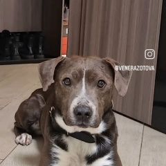 ����: ������� ������ ������������ ��������������� ������ �������� ������ ������ ������� � �. �������