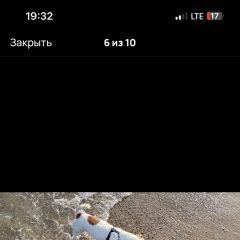 Подробнее об объявлении «Пропала собака кобель Симферополь» Фото: пропала собака Джек рассел терьер «Пропала собака кобель Симферополь» в г. Симферополь