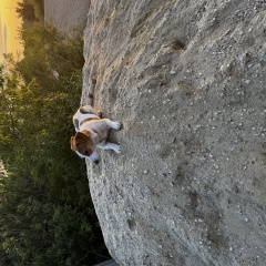 ����: ������� ������ ���� ������ ������ �������� ������ ���� ��������� � �. ���������