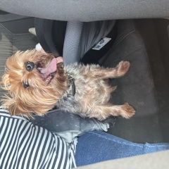 ����: ������� ������ ����������� ������ ���������� ������� ������ � �. ���������