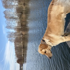 ����: ������� ������  ��������� ������� ������ ������ ������ ��� � �. ��������