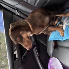 ����: ������� ������  �������� ������ ������ � �. �����