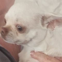 ����: ������� ������ �������� ������������� ������� ������ � �. ������������