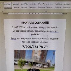 Подробнее об объявлении «Пропала собака Краснодар» Фото: пропала собака Русский охотничий спаниель «Пропала собака Краснодар» в г. Краснодар