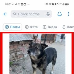 :         . 
