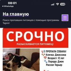 :          . 