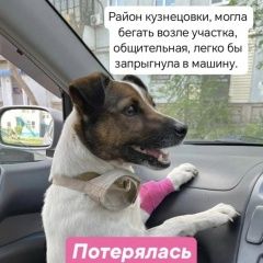 Подробнее об объявлении «Пропала собака девочка, зовут пикси Красноярск» Фото: пропала собака Джек рассел терьер «Пропала собака девочка, зовут пикси Красноярск» в г. Красноярск