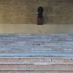 Подробнее об объявлении «Димитровград Пропала собака кобель» Фото: пропала собака  «Димитровград Пропала собака кобель» в г. Димитровград