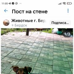 :           . ...  . 