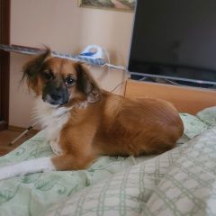 :       31 . -...  . 