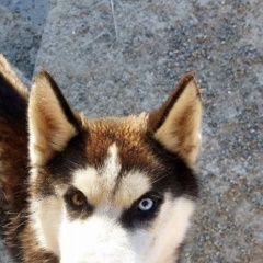 :         16. 09. ...  . 