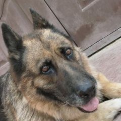 :          ()  .  ()