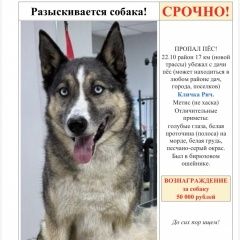 :     ( .)     .  ( .)