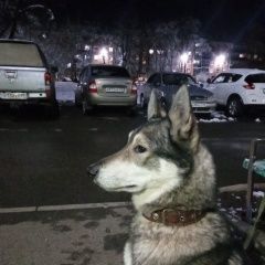 :   -      ()  .  ()