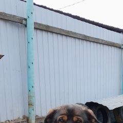 ����: ������� ������  �������������� ������� ������ ������ ������ ���� � �. �������������