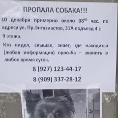 ����: ������� ������ ����������� ������ �������� ������� ������ ���� ���� ������� ����...� � �. �������