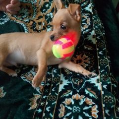 ����: ������� ������ ���-������ ������ ������� ������ ������ ����� ������. �����...� � �. �����