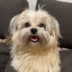 ����: ������� ������  ��������� ������� ������ � �. ��������