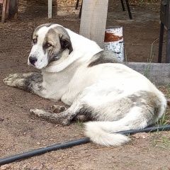 ����: ������� ������  �����-��� ������� ������ ������ ������ � �. ����-���