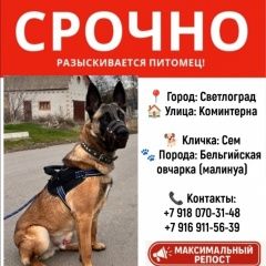 ����: ������� ������ ����������� ������� ����������� ������� ������ ������� � �. ����������