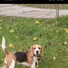 ����: ������� ������ ����� ���������� ������� ������ ����� ������ ������ � �. ���������