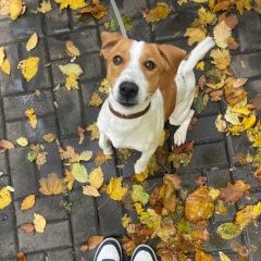 ����: ������� ������ ���� ������ ������ �������-��-���� ������� ������ ������� � �. ������-��-����