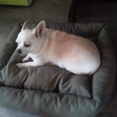 ����: ������� ������ �������� ������� ������� ������ ������ �������.� � �. ������