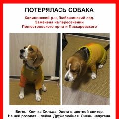 ����: ������� ������ ����� ������-��������� ������� ������ �����������...� � �. �����-���������