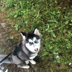 ����: ������� ������ ��������� ����� ������ ������� ������ �����, ����� ����� � �. �����