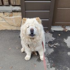 ����: ������� ������ ���-��� �������� ������� ������ � �. �������