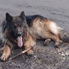 ����: ������� ������ �������� ������� �������� ������� ������ ������� � �. �������