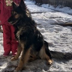 ����: ������� ������ �������� ������� �������� ������ ������ ��� ����� ������ ����� � �. ������ �����