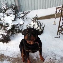 ����: ������� ������  �������� ������ ������ ������ ������ ��������� � �. ���������