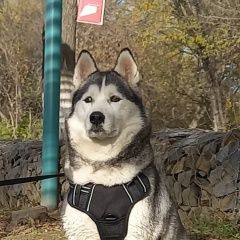 ����: ������� ������ ��������� ����� �������� ������ ����� ������� � �. �������