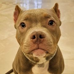 ����: ������� ������  �������� ������ ����������� � �. �����������