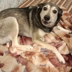 ����: ������� ������  �������� ������ ���������� � �. ����������