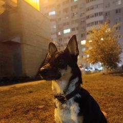 ����: ������� ������  �������� ������ ������ ����� ������� ����������....� � �. ������