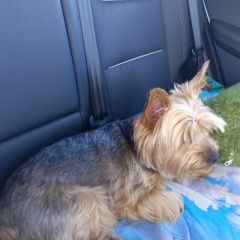 ����: ������� ������ ����������� ������ �������� ������ ������ ���������� � �. ����������