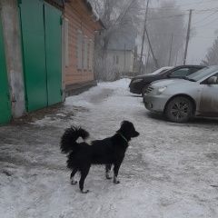 ����: ������� ������  �������� ������ 28 ������� 2028 ���� � �. ����