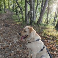 ����: ������� ������ �������� �������� �������� ������ ������ � ���������, �����������,...� � �. ����