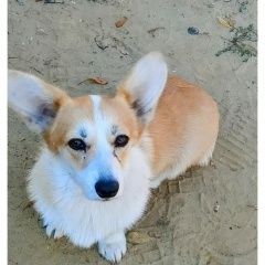 ����: ������� ������ ����� ����� �������� ������ ����� ������ � �. ������