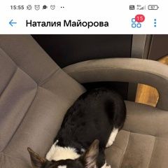 ����: ������� ������ ����� ����� �������� ������ ������ ����� ����� �����...� � �. ������