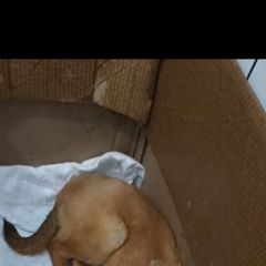 ����: ������� ������  ��������� ���������-���������� ����������...� � �. �������� ���������-���������� ����������