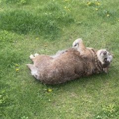 ����: ������� ������  ��������� ������� ������ � �. ��������