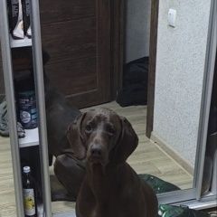 ����: ������� ������ �������� �������� ������ ������� ���������� � �. ���������