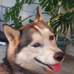 ����: ������� ������ ��������� ����� �������� ������ ������� � �. �������