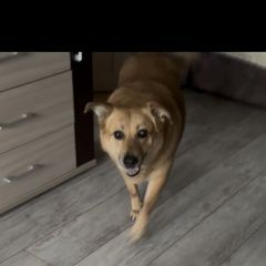 ����: ������� ������  �������� ������ ��������� ������� ������ �������� � �. ��������