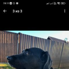 ����: ������� ������  �������� ������ ������ ������� �������� (��������)� � �. ������� �������� (��������)